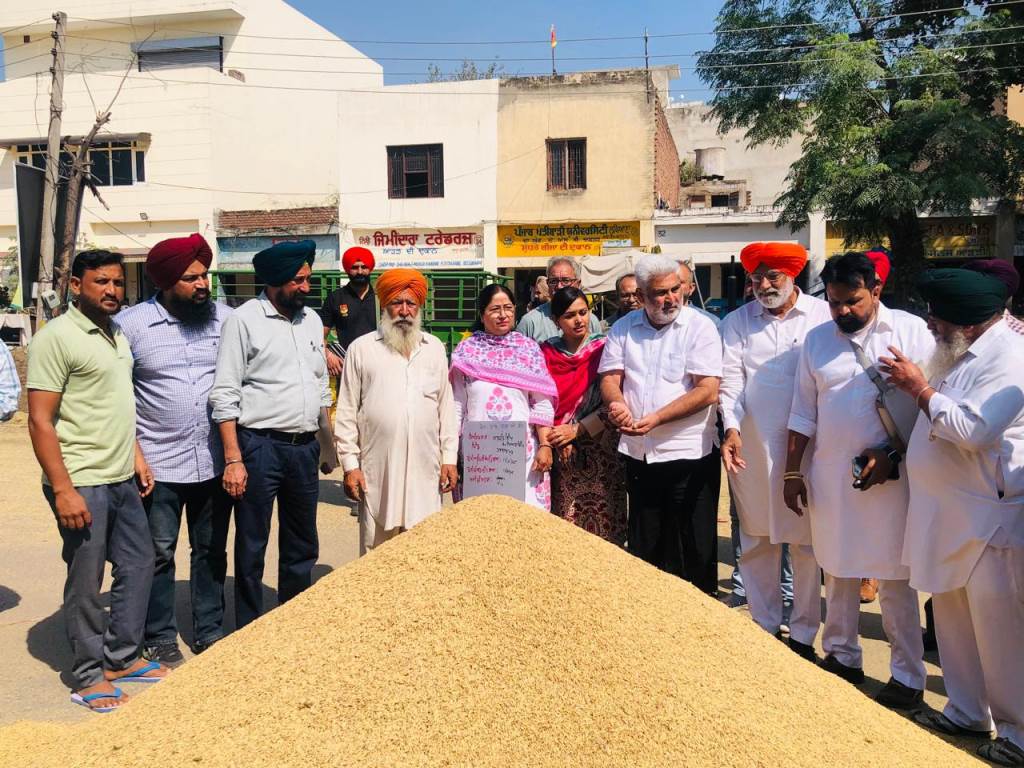 Central Teams to Visit Punjab Mandis to Assess Effect of Rains on Grain Food Minister Lal Chand Kataruchak